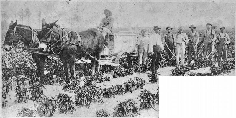 Marker detail: Regional Farming (circa 1920) image. Click for full size.