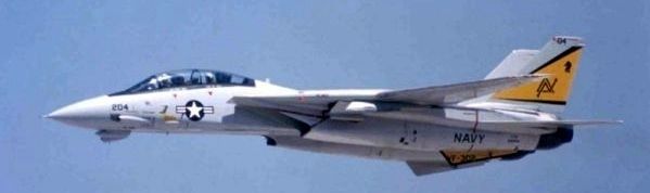 Grumman F-14 Tomcat image. Click for full size.