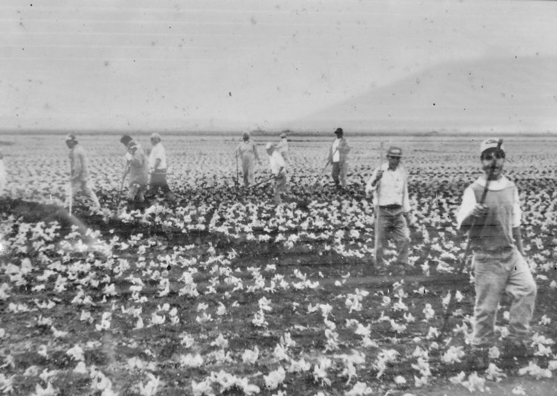 Marker detail: Farm Workers image. Click for full size.