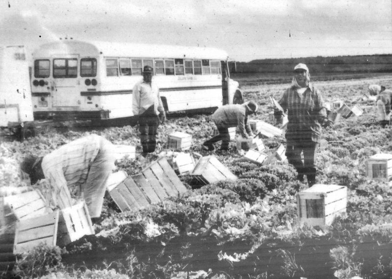 Marker detail: Farm Workers image. Click for full size.