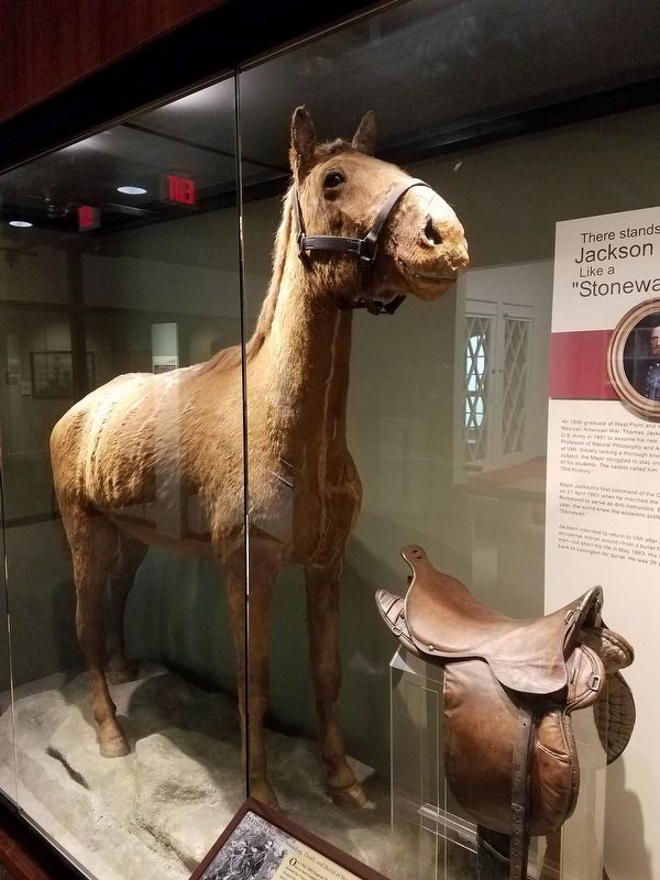 Jackson’s Preserved Horse, Little Sorrel image. Click for full size.