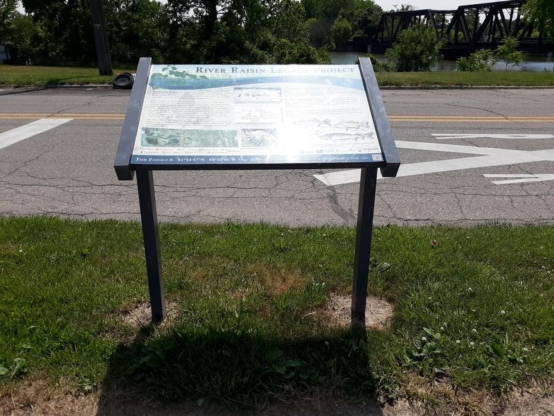 River Raisin Legacy Project Marker. Click for full size. River Raisin Legacy Project Marker image. Click for full size.