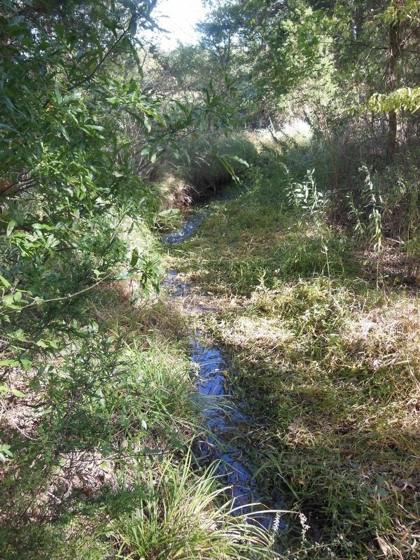 Creek Bed. Click for full size. Creek Bed image. Click for full size.