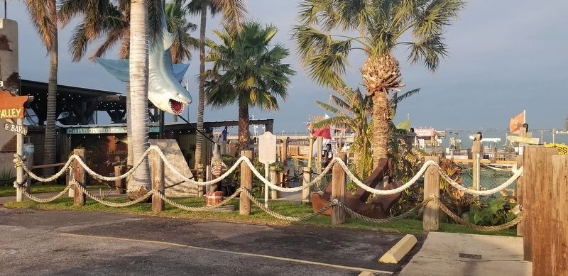 The area around the Port of Matamoros Marker image. Click for full size.