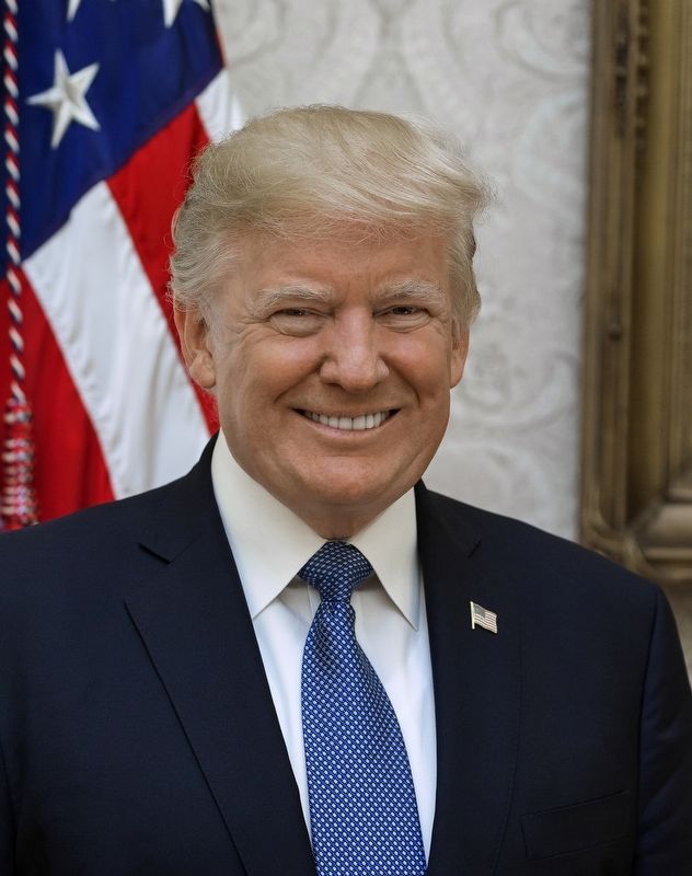 Official Portrait of Donald J. Trump image. Click for full size.
