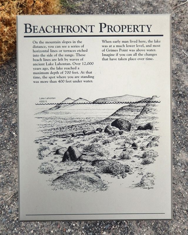 Beachfront Property Marker image. Click for full size.