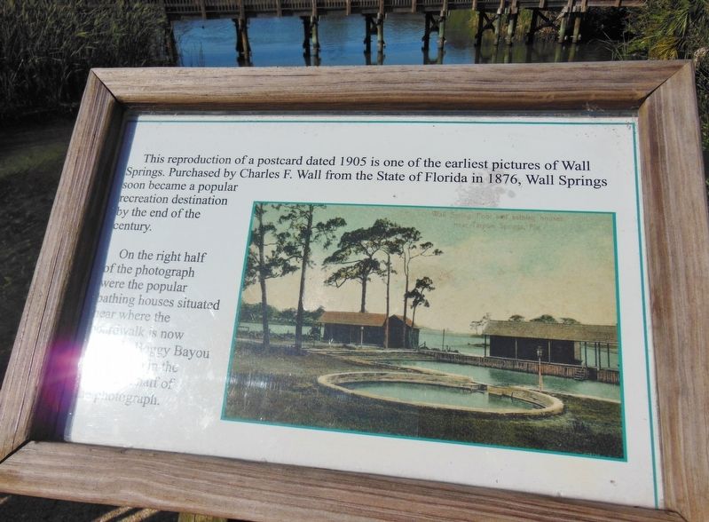 Wall Springs Park History Marker (<i>1905 panel</i>) image. Click for full size.