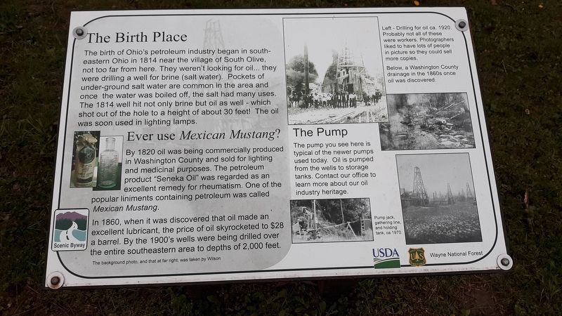 The Birth Place Marker image. Click for full size.