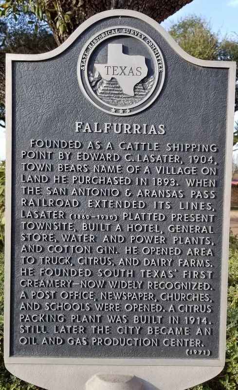 Falfurrias Marker image. Click for full size.
