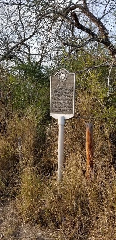 Site of Los Olmos Marker image. Click for full size.