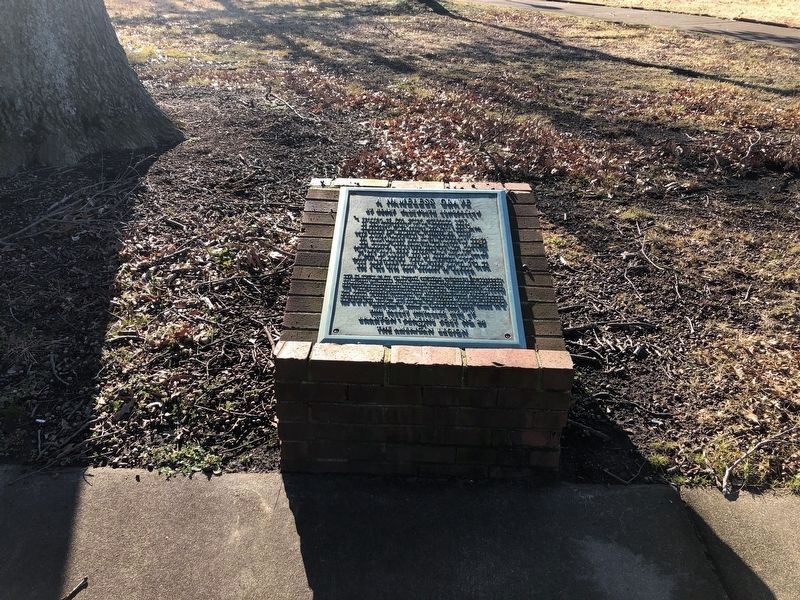 A Nameless Grave Marker. Click for full size. A Nameless Grave Marker image. Click for full size.