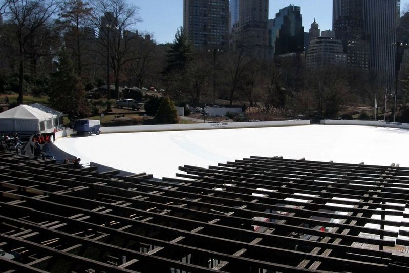 The Childrens District - Wollman Rink image. Click for full size.