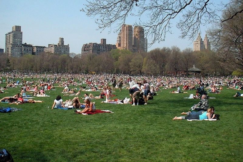 The Children�s District - Sheep Meadow image. Click for full size.