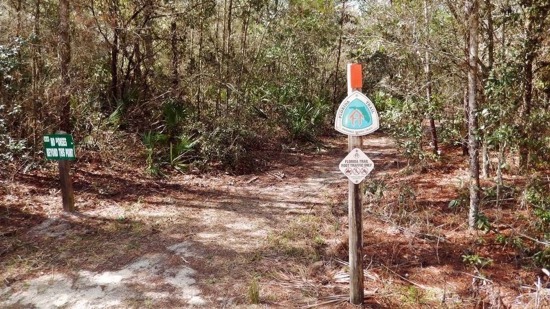 Florida Trail Sign image. Click for full size.