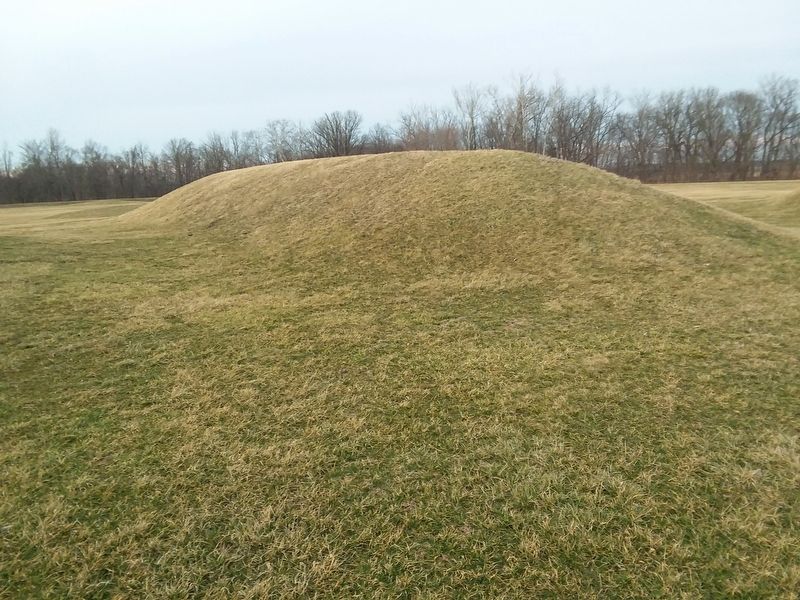 Elliptical Mound Marker image. Click for full size.