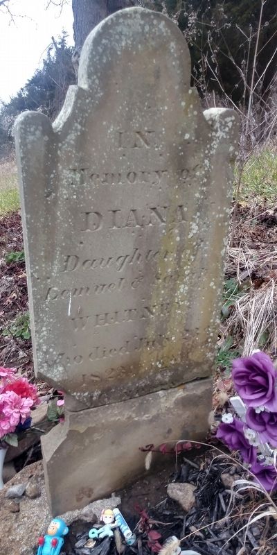 Diana Whitney Tombstone image. Click for full size.