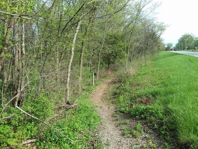 The towpath trail image. Click for full size.