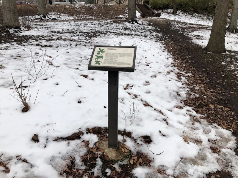 Joseph Beuys Tree Partnership Marker image. Click for full size.