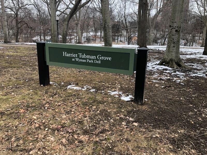 Harriet Tubman Grove signage image. Click for full size.