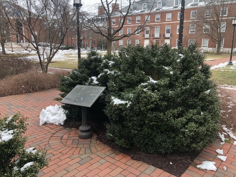 Wyman Quadrangle Marker image. Click for full size.