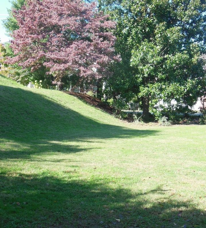 Remaining Bluff. Click for full size. Remaining Bluff image. Click for full size.