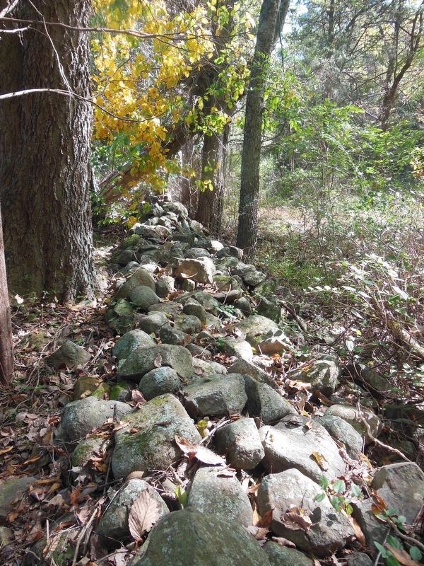 The Stone Wall On The Cunningham Farm image. Click for full size.