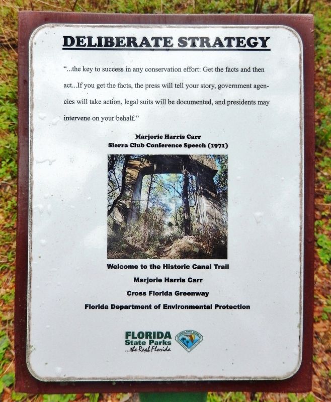 Deliberate Strategy Marker image. Click for full size.