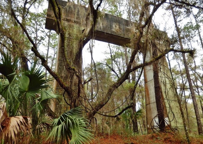 Abandoned Canal Bridge Stanchion<br>(<i>along trail  near marker</i>) image. Click for full size.