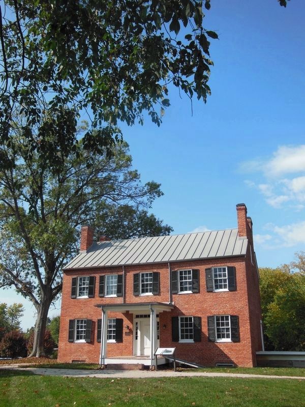 Historic Blenheim House image. Click for full size.