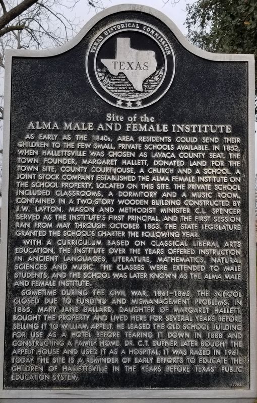 Site of the Alma Male and Female Institute Marker image. Click for full size.