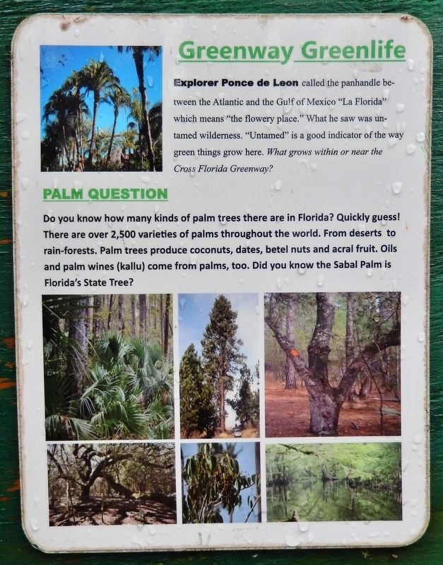 Greenway Greenlife Marker<br>Greenway Greenlife (<i>panel</i>) image. Click for full size.