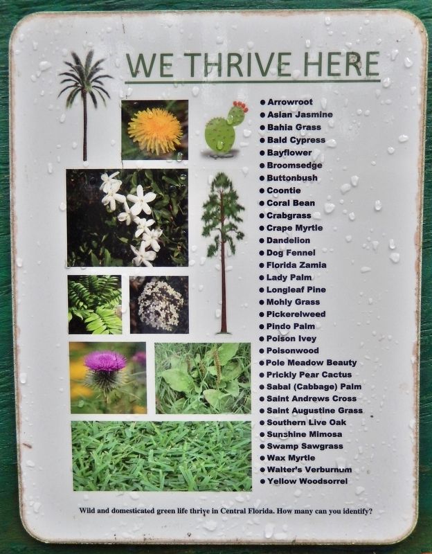 Greenway Greenlife Marker<br>We Thrive Here (<i>panel</i>) image. Click for full size.