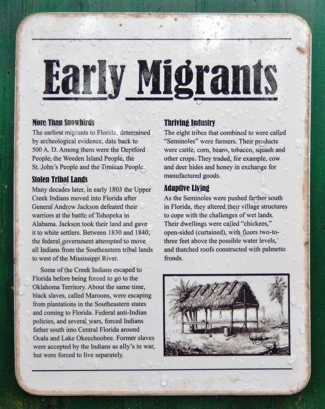 Florida Seminoles Marker<br>Early Migrants (<i>panel</i>) image. Click for full size.