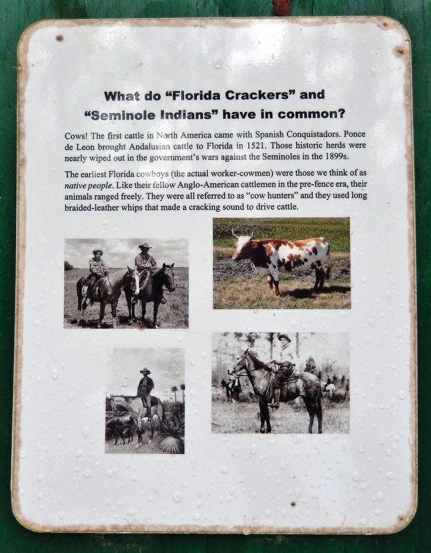 Florida Seminoles Marker<br>Cowboys (<i>panel</i>) image. Click for full size.