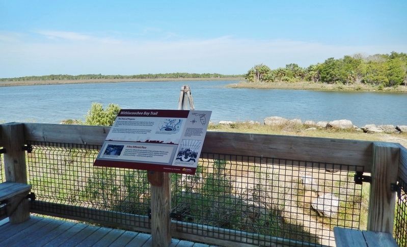 Withlacoochee Bay Trail Marker image. Click for full size.