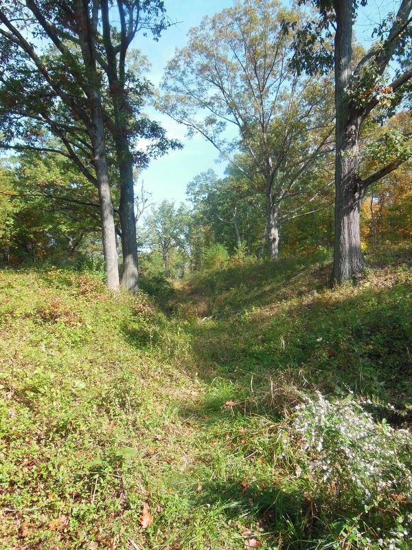 The Unfinished Railroad Bed image. Click for full size.