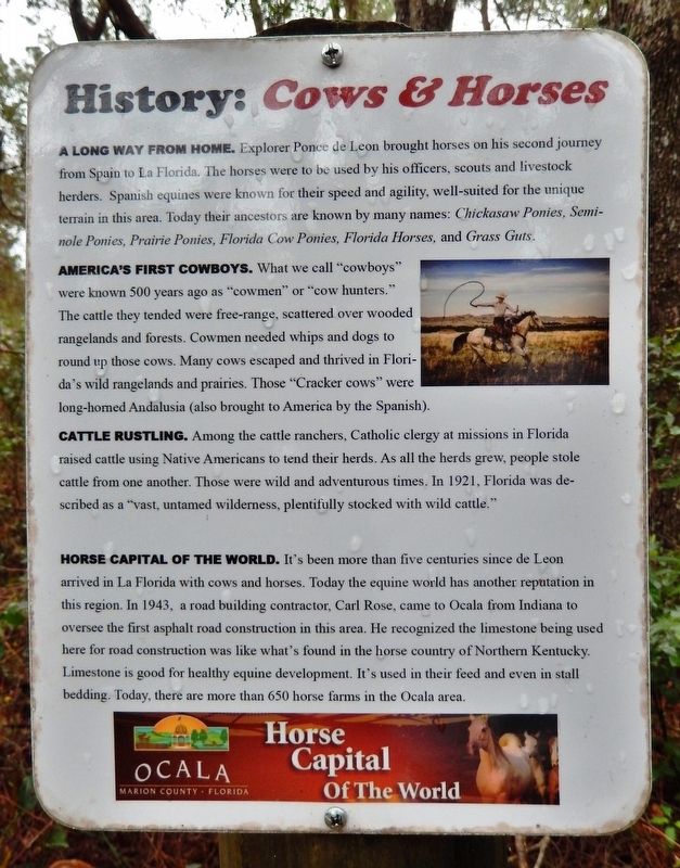 History: <i>Cows & Horses</i> Marker image. Click for full size.