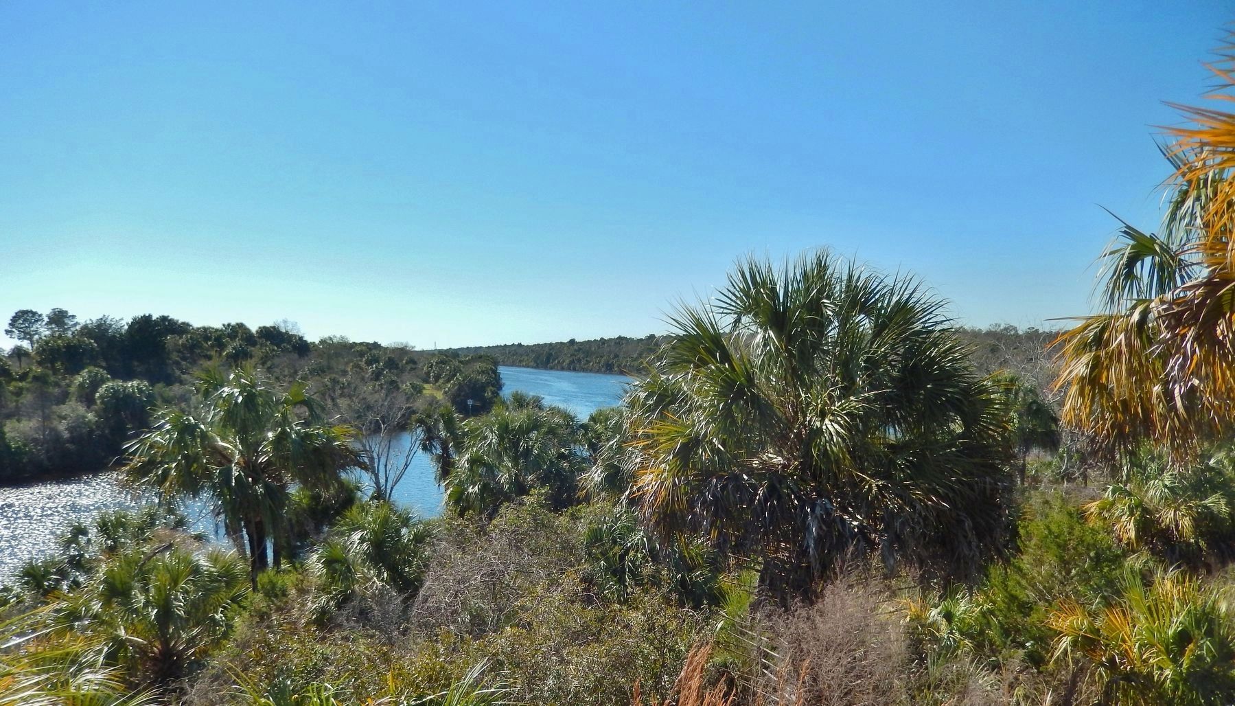 Cross Florida Barge Canal (<i>looking west from marker</i>) image. Click for full size.