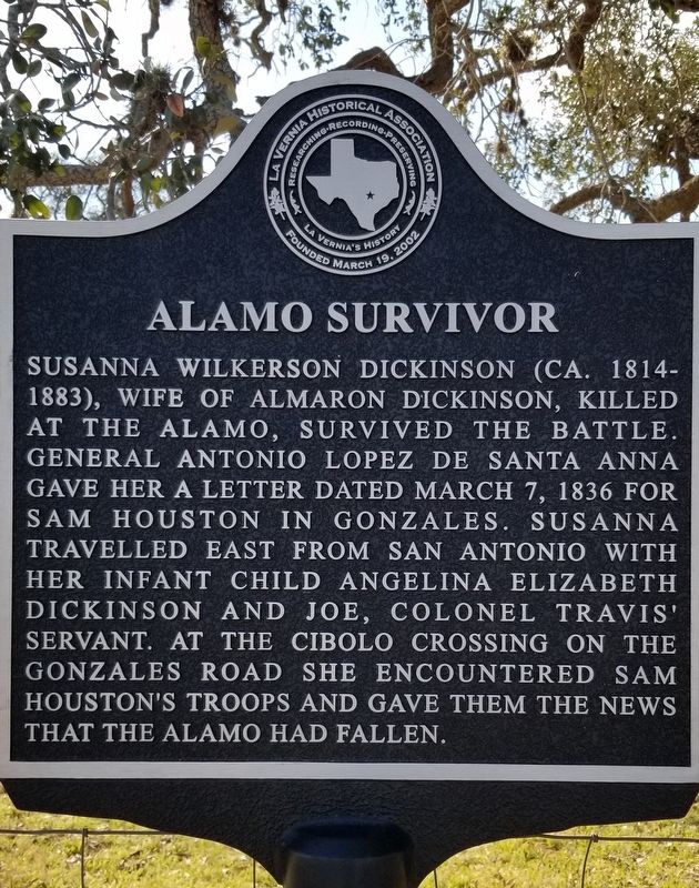 Alamo Survivor Marker image. Click for full size.