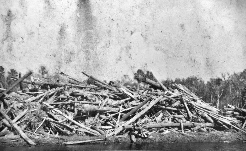 Marker detail: Tree Destruction. Click for full size. Marker detail: Tree Destruction image. Click for full size.