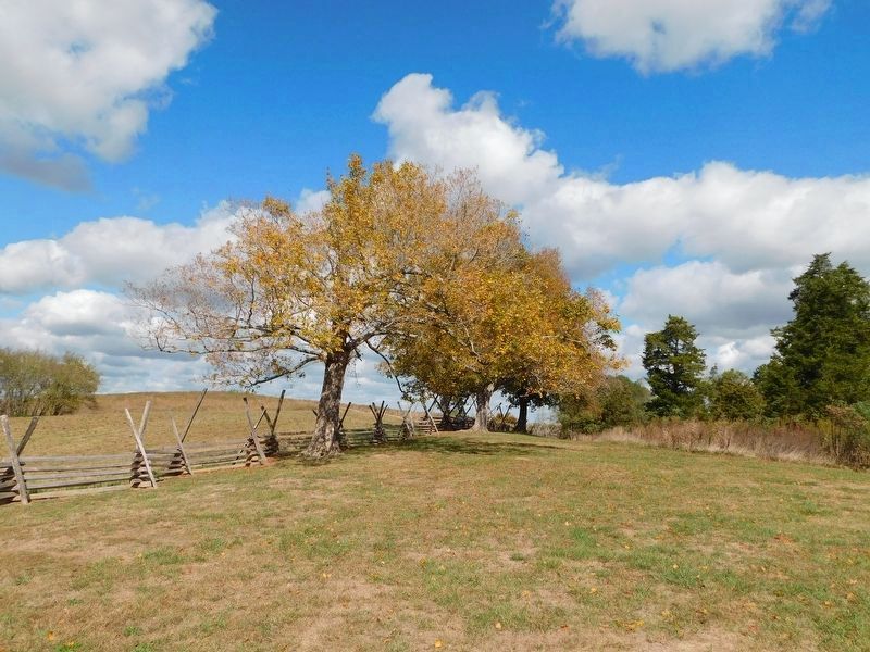 Location Of The Fence Line. Click for full size. Location Of The Fence Line image. Click for full size.