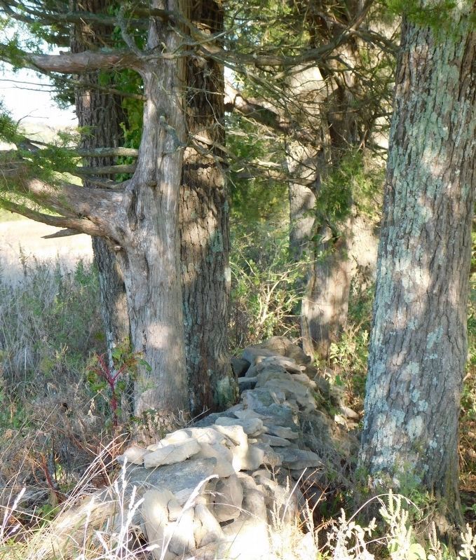 Starkweather's Wall. Click for full size. Starkweather's Wall image. Click for full size.