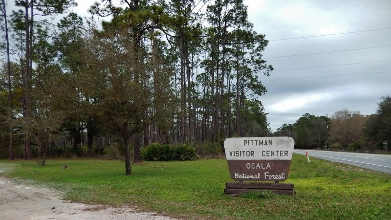 Ocala National Forest  Pittman Visitor Center image. Click for full size.