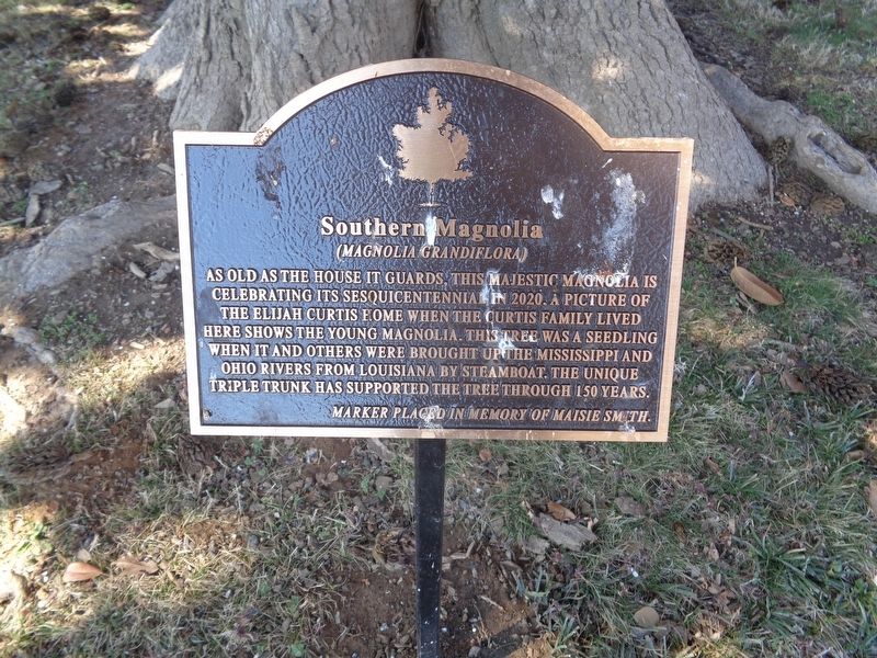 Southern Magnolia Marker image. Click for full size.