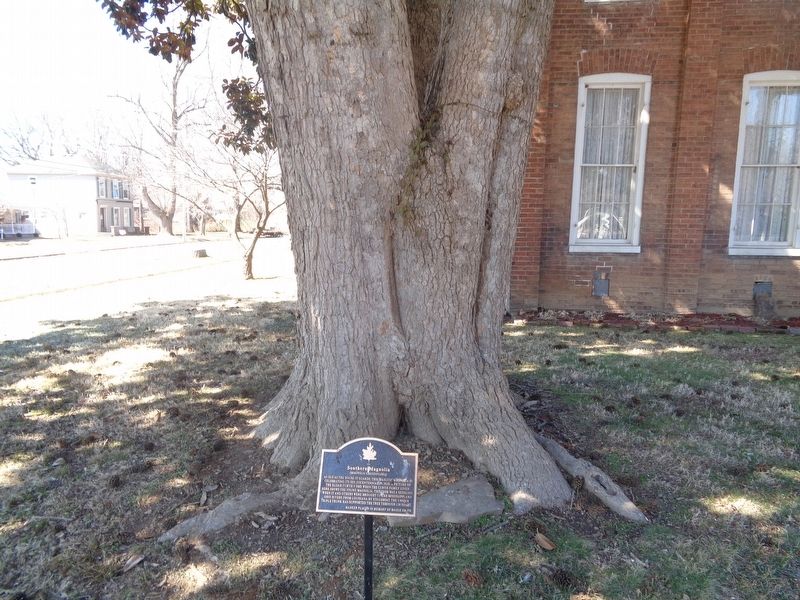Southern Magnolia Marker image. Click for full size.