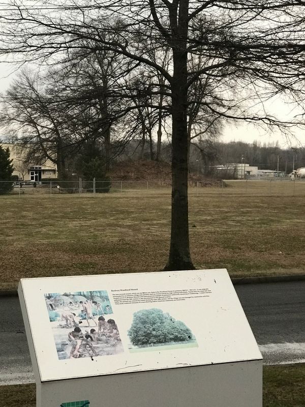 Roxbury Indian Mound Marker. Click for full size. Roxbury Indian Mound Marker image. Click for full size.