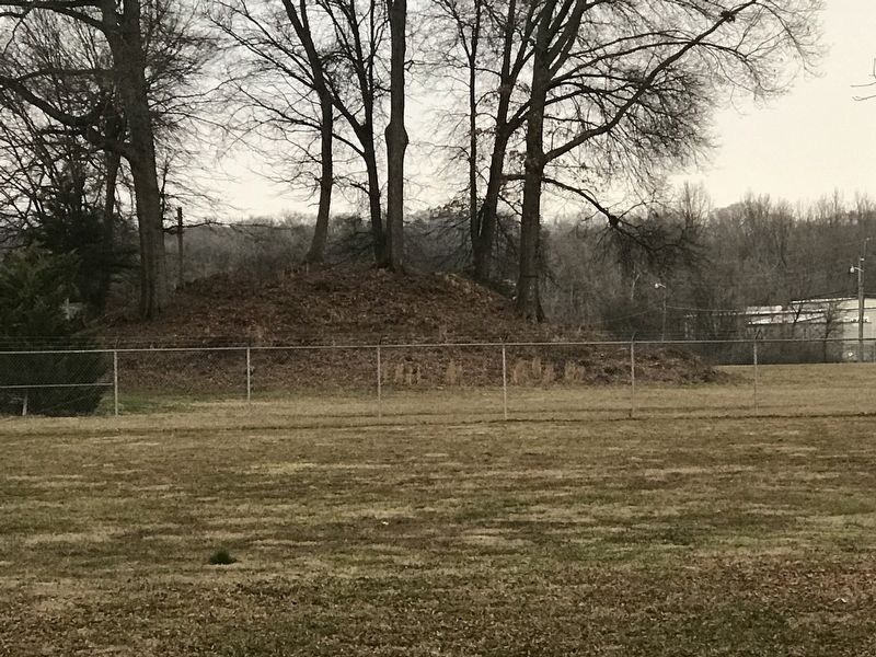 Roxbury Indian Mound. Click for full size. Roxbury Indian Mound image. Click for full size.