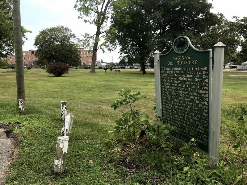 Saginaw Oil Industry Marker in Deindorfer Woods Park. Click for full size. Saginaw Oil Industry Marker in Deindorfer Woods Park image. Click for full size.