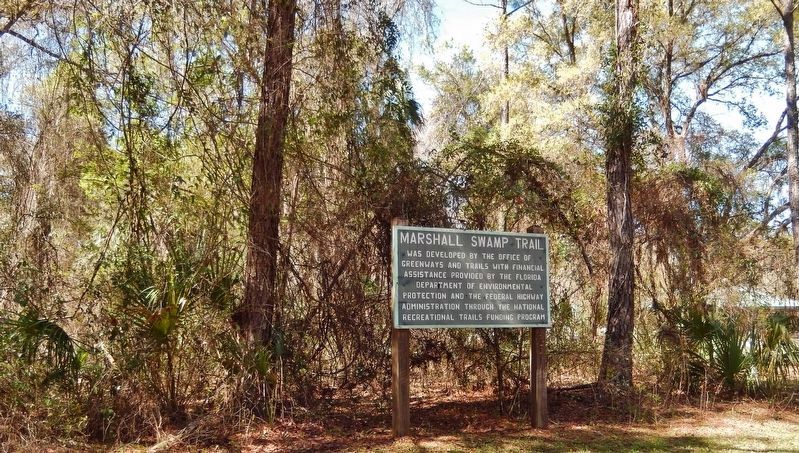 Marshall Swamp Trail Marker. Click for full size. Marshall Swamp Trail Marker image. Click for full size.