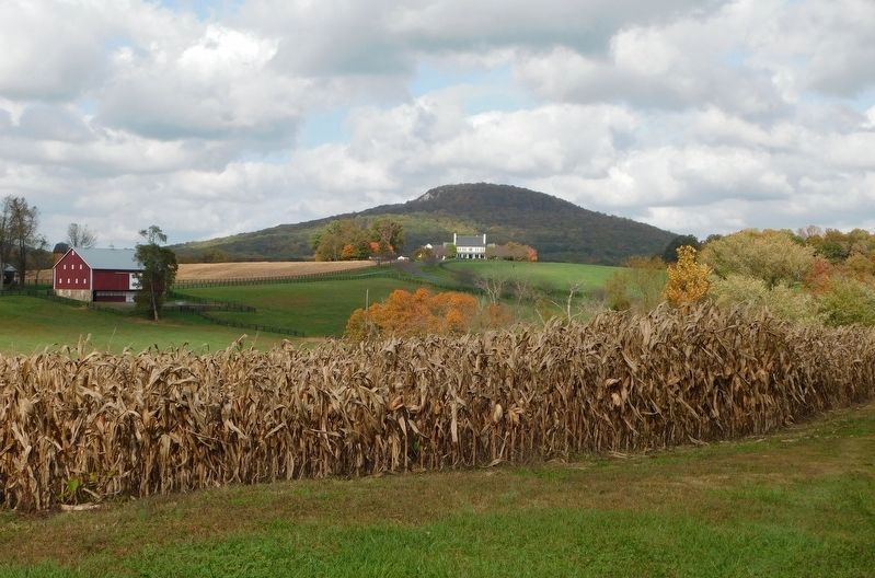Sugarloaf Mountain image. Click for full size.